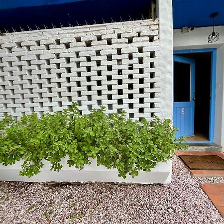 Apartament Puerta Azul Punta del Este Zewnętrze zdjęcie